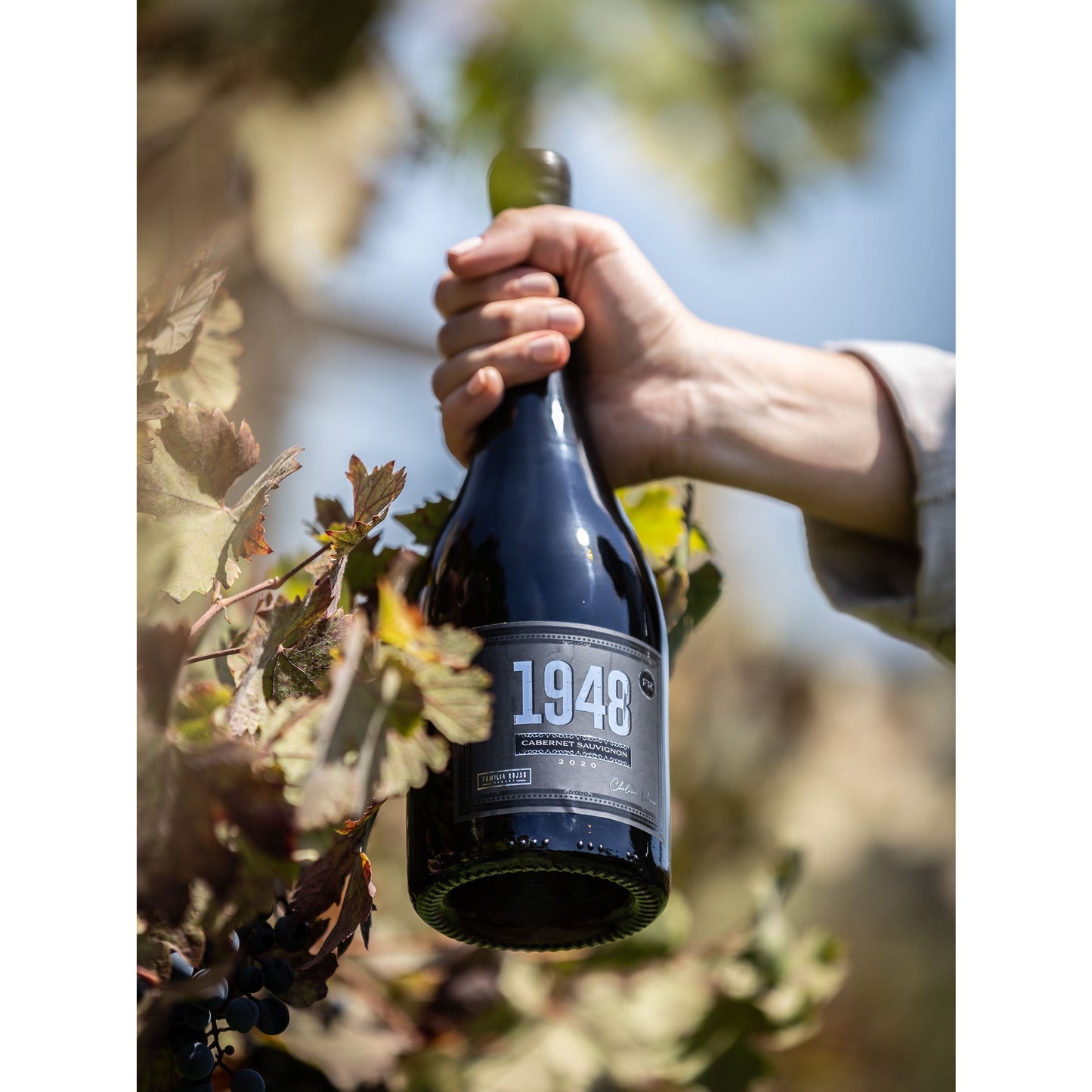 2 Cajas 6 Botellas Gran Reserva Cabernet Sauvignon 1948