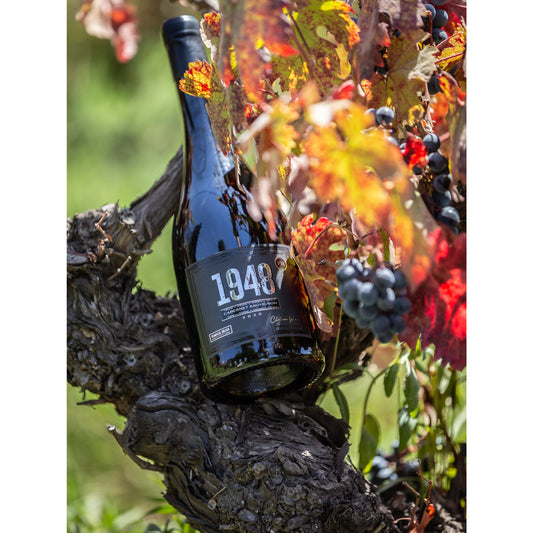 Pack 3 Botellas Gran Reserva Cabernet Sauvignon